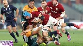 Lions vs Wallabies.jpeg