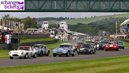 Goodwood Revival 2025.jpeg