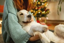 istockphoto-2191746673-612x612.jpg