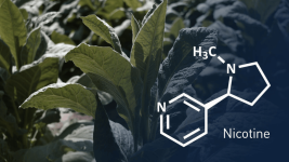 001_nicotine_1600_900-1-1024x576.png