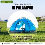 Luxury Tents In Palampur.jpg