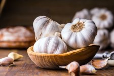 Garlic.jpg