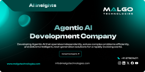 agentic-ai-development (2).png