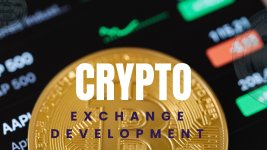 Crypto Exchange Development USA.jpg