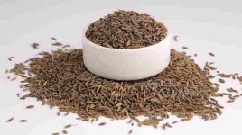 cumin seeed.jpg