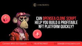 OpenSea Clone Script (2).jpg