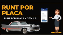 RUNT-POR-PLACA-1024x576.jpeg