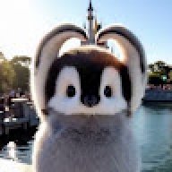 koko