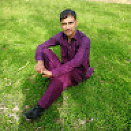 raju313