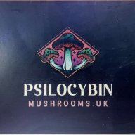 psilocyBinmushroom