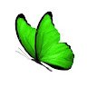 Shivaram