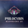 psilocyBinmushroom