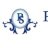 prestigesafetynets