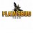flawsbugtech