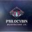 psilocyBinmushroom